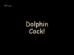 Dolphin Cock