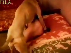 001 Chubby Housewife Gets Her Pussy Stuffed By A Dog Cock One Ni Xvid