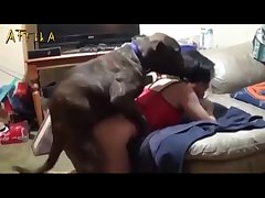 Amateur Milf Homemade With Dog Sex