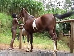 Xnxx Animal Hors And Girl Pron Video In - new Horse porn videos page 1 at videosdex.net