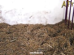Netvideogirls Ariel