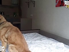 Girl Watching Bestiality Porn