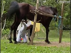 Chinese Animal Porn