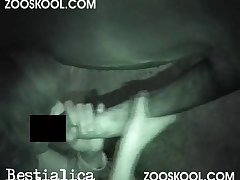 Beastiality Zoo Tube
