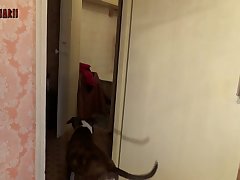Zoofilia Videos New