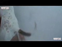 Zoofilia Casera Anal