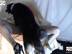 Videos E Zoofilia