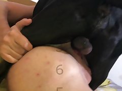 Zoofilia Videos Caballo