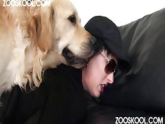 Gay Com Cavalo Zoofilia