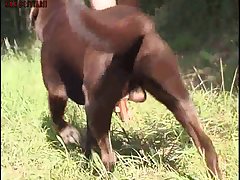 Extreme Bdsm Porn Site