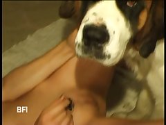 Porno Animal Homem Comendo Cadela