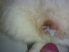 Porno Brasilero Com Animal