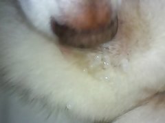 Porno Brasilero Com Animal