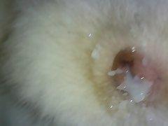 Porno Brasilero Com Animal