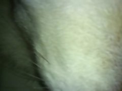 Porno Brasilero Com Animal