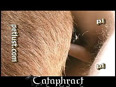 Indian Gay Porn Videos Xxx