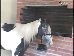 Xxx Most Popular Porn Star