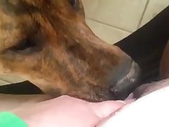 Ina Black Mixed Wrestling Xxx Porn