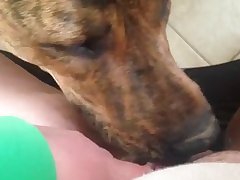 Ina Black Mixed Wrestling Xxx Porn