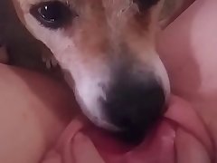 Fluttershy Cosplay Porn Xxx Porn