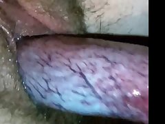 Zoo Porn With Man Anal