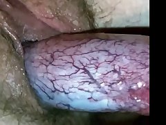 Zoo Porn With Man Anal