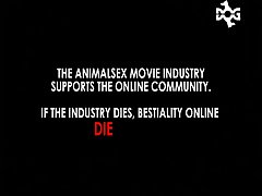 Drama Xxx Porn