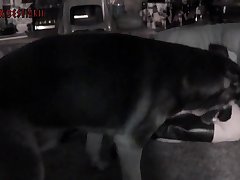 Swimming Pool Xxx Porn