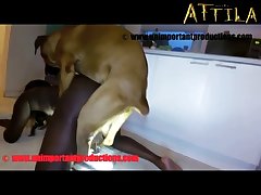 Kaori Japanese Porn Star Xxx Porn