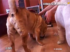 Sleeping Xxx Videos Xnxx