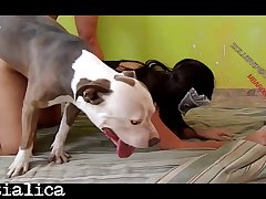Porn Video Sex With Dog