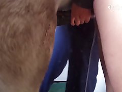 Denise Frazier Dog Video Porn Hub