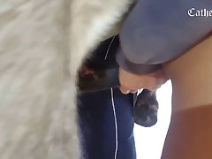 Denise Frazier Dog Video Porn Hub