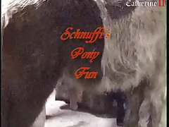 Anal Dog Women Porn Video