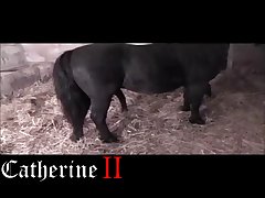 That One Animal Crossing Porn Video