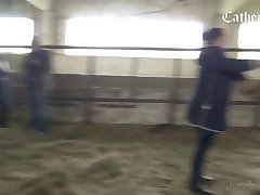 Animal Fucking Pornhub