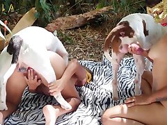 Girl Animal Sex Story