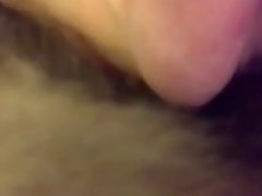 Best Animal Sex Site