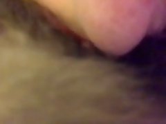 Best Animal Sex Site