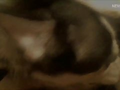 Man Dog Porn