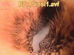 Jenna Dog Porn