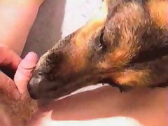 Jenna Dog Porn