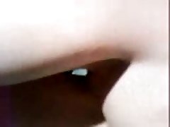 Creampie In Dog Porn