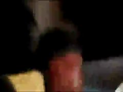 Wife Cheats With Dog Porn