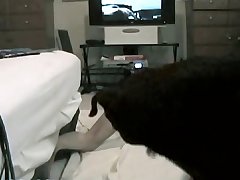 Granny And Her Dog Porn