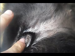 Art Of Zoo Zoophilia