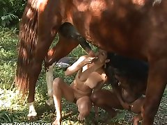 Sex With Female Dog Porn