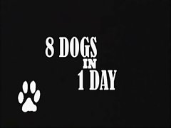 Boy Fucks His Dog Porn
