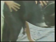 Lara And Dog Porn