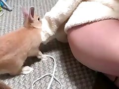 Dog Porn Hard